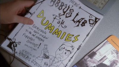 ABBY'S LAB FOR DUMMIES ver.1